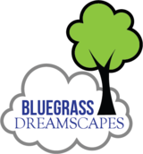 Bluegrass Dreamscapes
